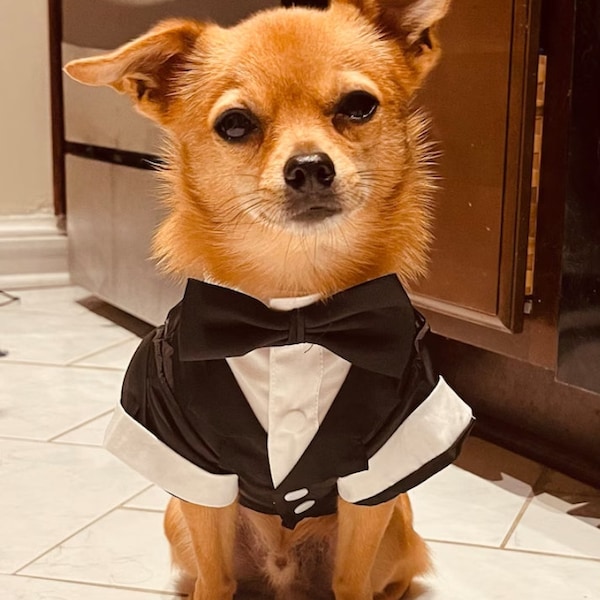Pets Custom Tuxedo, Wedding dogs tuxedo, Wedding outfit, White shirt with bow for dogs, Dog tux, Bow tie, Dog wedding, puppy tuxedo-script