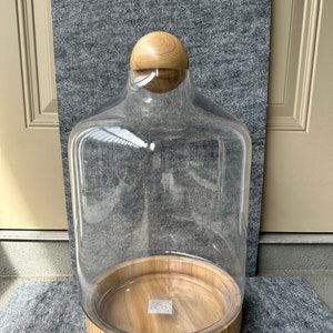 18.7”x 10.6”D Glass Terrarium with Wood Base and Ball Lid