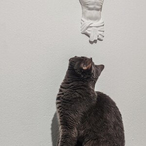 May include: A grey cat gazing upwards at a white sculpture of Jesus Christ on a white wall. The cat is seated on a grey upholstered surface.