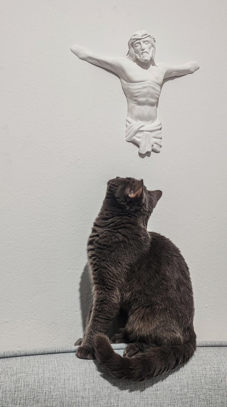 May include: A grey cat gazing upwards at a white sculpture of Jesus Christ on a white wall. The cat is seated on a grey upholstered surface.
