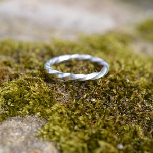 Puede incluir: Un anillo plateado retorcido sobre un lecho de musgo verde.