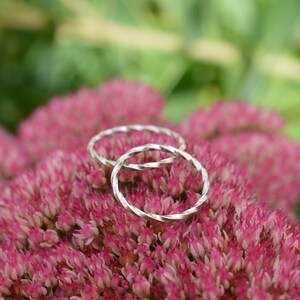 May include: Two silver rings with a twisted design, resting on a bed of pink flowers.