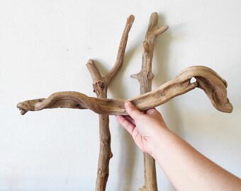Not Straight Drift Wood Genuine Twisted Crooked Driftwood