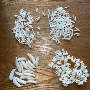 May include: Four piles of white teeth on a wooden surface. The teeth are arranged in different shapes and sizes.