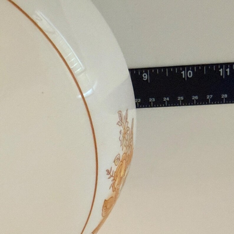 May include: A white ceramic bowl with a brown floral pattern on the side. The bowl has a brown rim. A ruler is placed next to the bowl, showing measurements in inches.