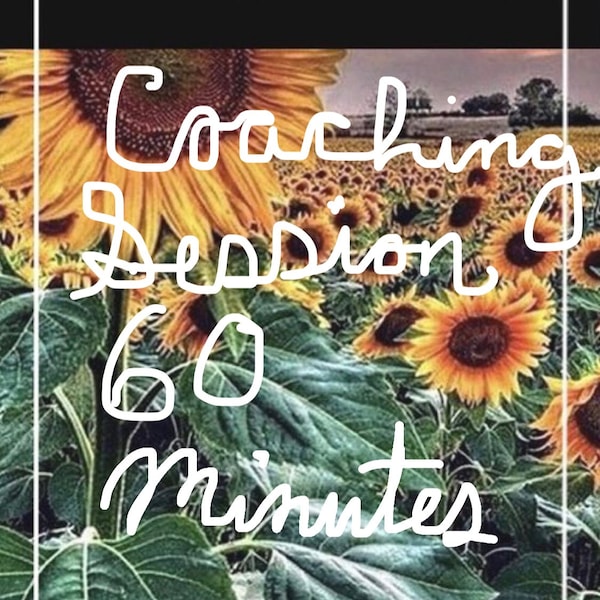 60 Minute Coaching Session Via Etsy Chat Please Read Description (NOT a Psychic or Tarot Reading)