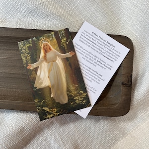 TARJETA DE ORACIÓN Nuestra Señora del Campeón, Nuestra Señora del Buen Socorro, Tarjeta de Oración Católica, Oración de la Virgen María, Aparición Mariana Americana