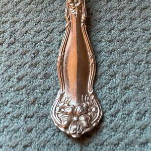 May include: A silver teaspoon with an ornate floral design on the handle. The spoon has a rounded bowl and a long, slender handle.