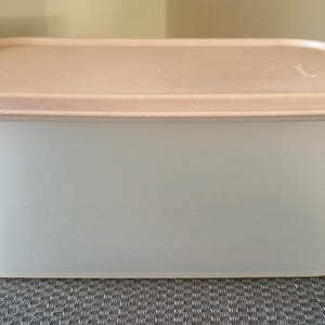 May include: A clear plastic rectangular storage container with a light pink lid.