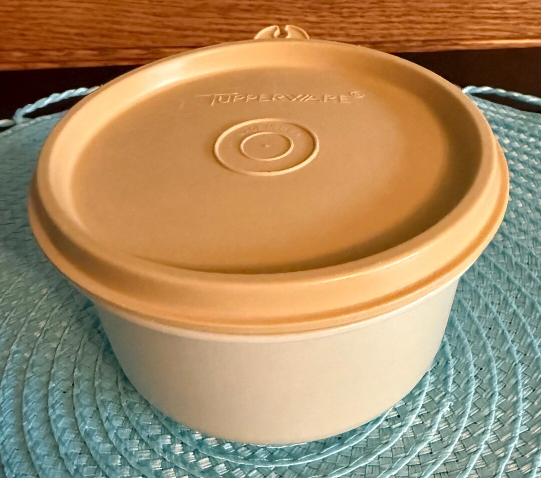 Tupperware Container 1667 - Etsy