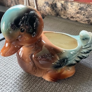 May include: A ceramic duck planter with a brown, blue, and green glaze. The duck has a wide, flat base and a small opening for planting.
