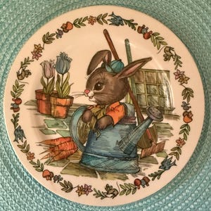 Vintage Peter Rabbit Melamine Plate & Bowl By Oneida Deluxe