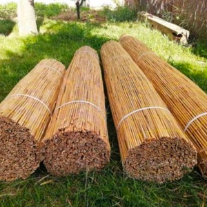 Reed straw privacy screen for balconies, terraces, gardens, 50cm by 5 meters