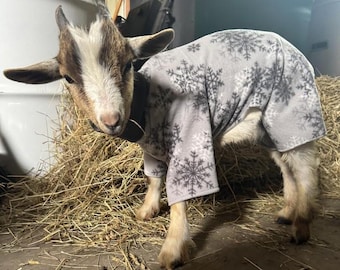 Goat PJ's - Pajamas for KID goats - 16" back length - 6 colors