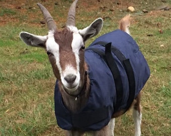 Insulated Goat Coat 24