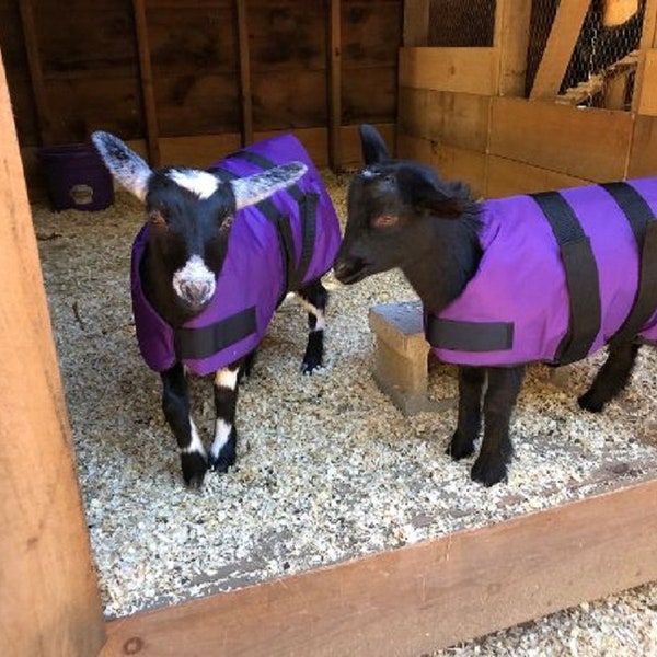 Insulated Goat Coat 24" Topline - Perfect for Pygmies