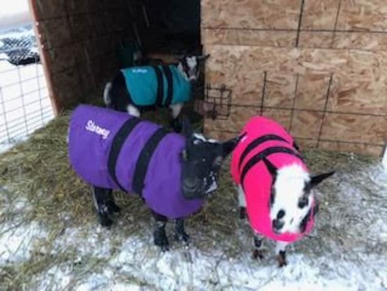 Insulated Goat Coat 24 Topline Perfect for Pygmies Etsy