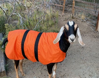 Insulated Goat Coat 24