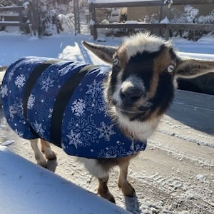 Insulated Goat Coat 24" topline - Perfect for Pygmies