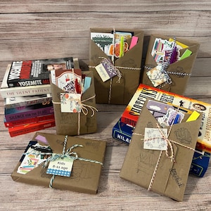 Blind Date with a Book, Used Books-good condition, Mystery Book, Book Lover, Bookworm, Surprise Book