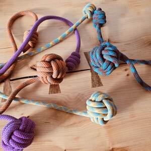 May include: Five colourful knotted rope dog toys. The toys are made of different coloured ropes, including purple, blue, yellow, orange, and brown. The toys are tied in a knot at the end of the rope, creating a ball shape.