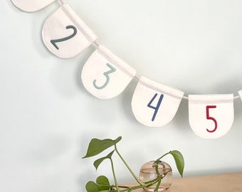 Number Line Bunting, Children’s decor, Early learning, Educational resource, Playroom decor, Homeschool Classroom decoration, Custom colours