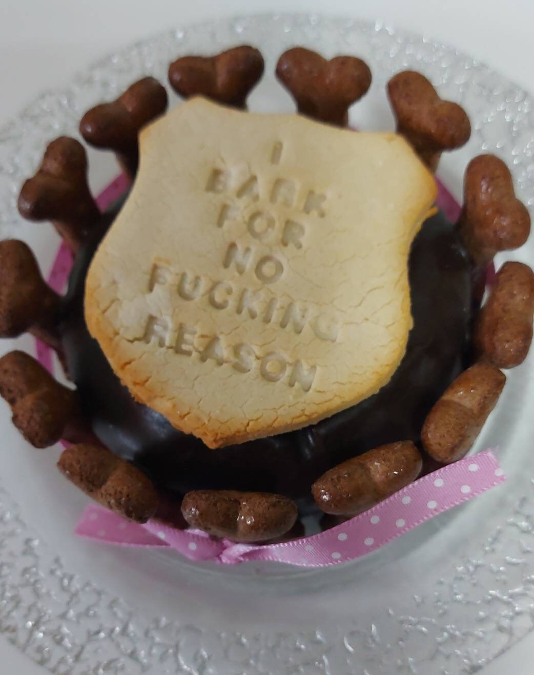 Dog Cake Girl.... I Bark for No FUCG REASON Perfect FUN Dog Etsy