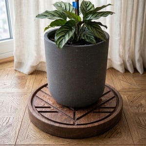 May include: A houseplant with green and white striped leaves in a dark grey cylindrical pot. The pot sits on a round, dark wooden plant stand with a carved design. The plant is near a window with sheer curtains.
