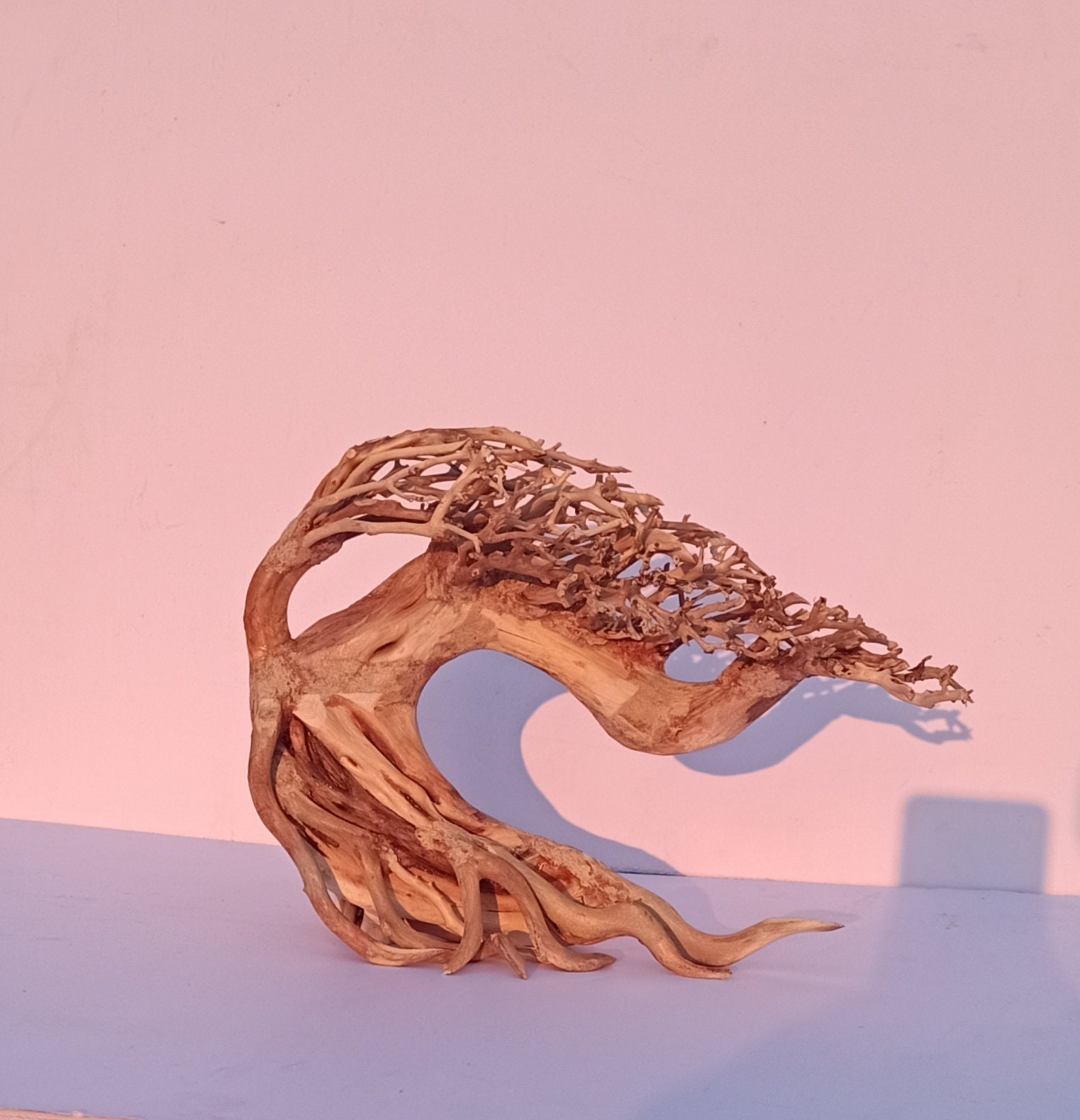 Bonsai Aquarium Bonsai Aquarium Tree Bonsai Aquasape Etsy