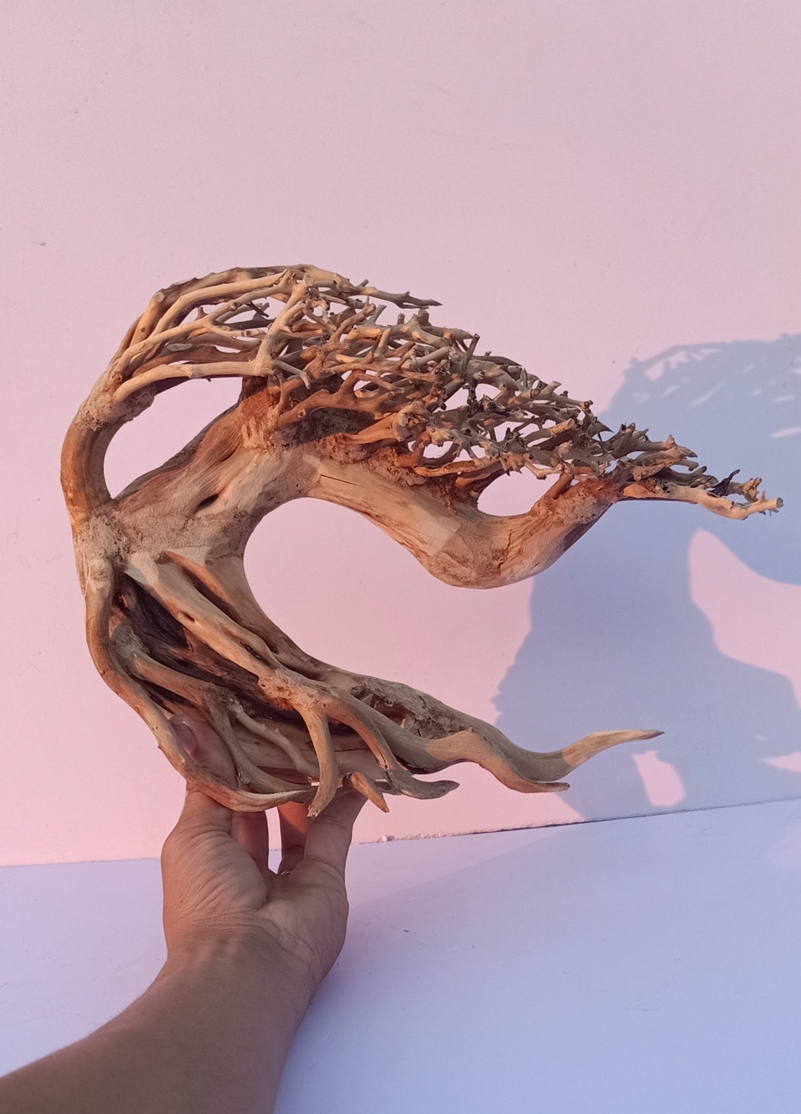 Bonsai Aquarium Bonsai Aquarium Tree Bonsai Aquasape Etsy