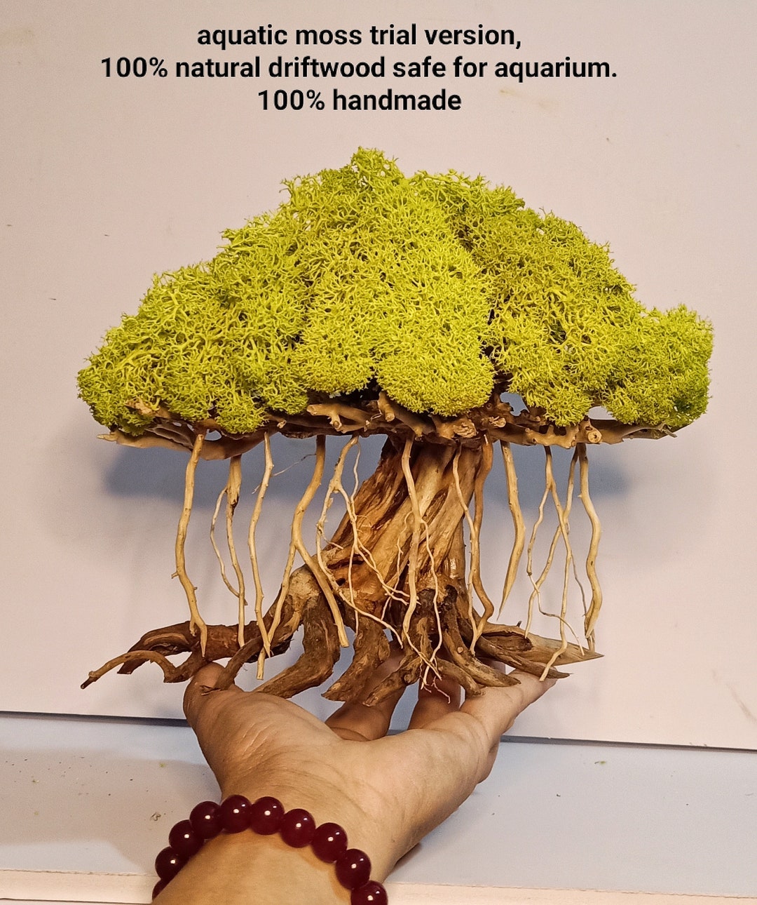 OLD Treebonsai Aquarium Bonsai Aquarium Tree Bonsai Etsy New Zealand