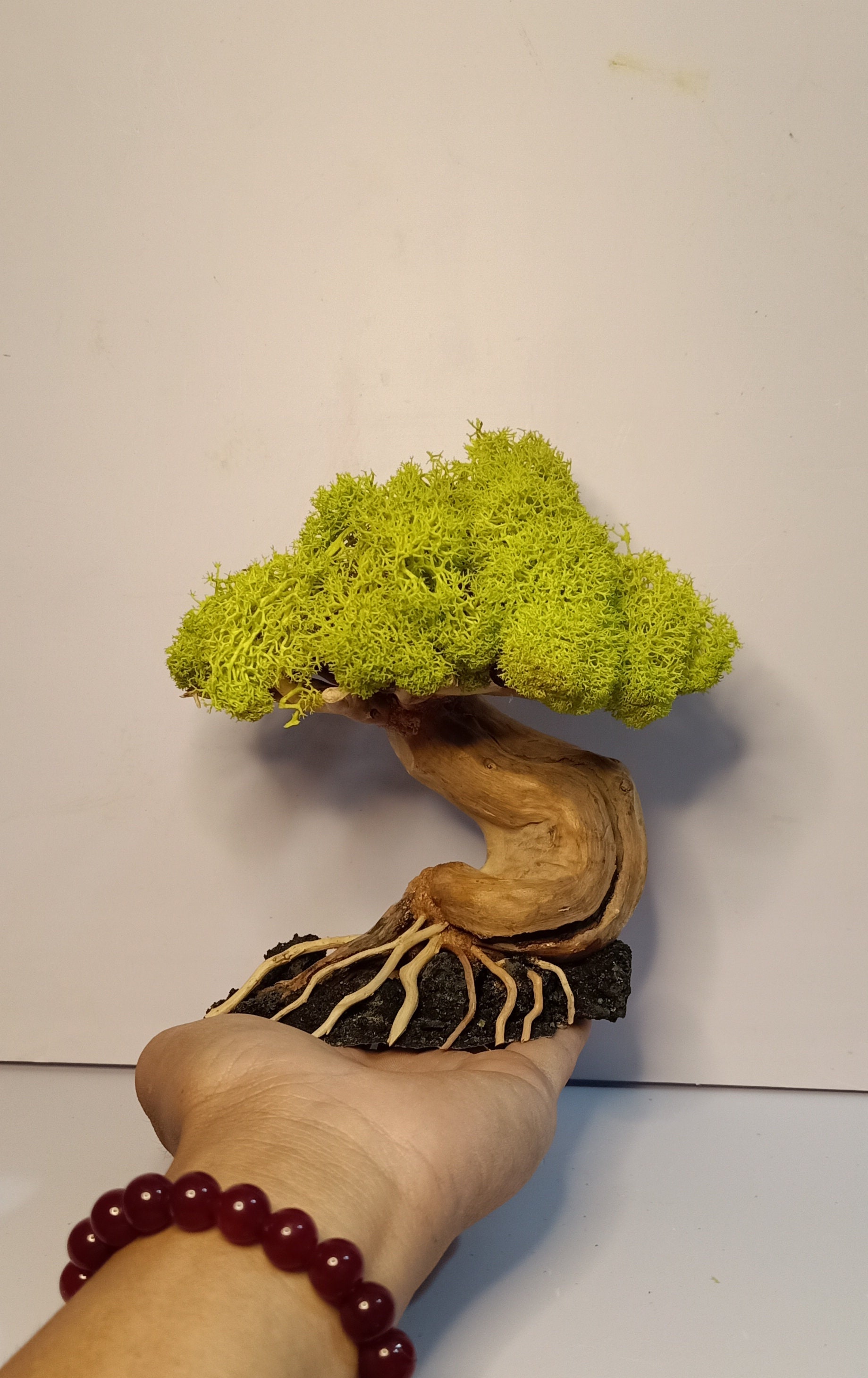 Bonsai Aquarium Bonsai Aquarium Tree Bonsai Etsy