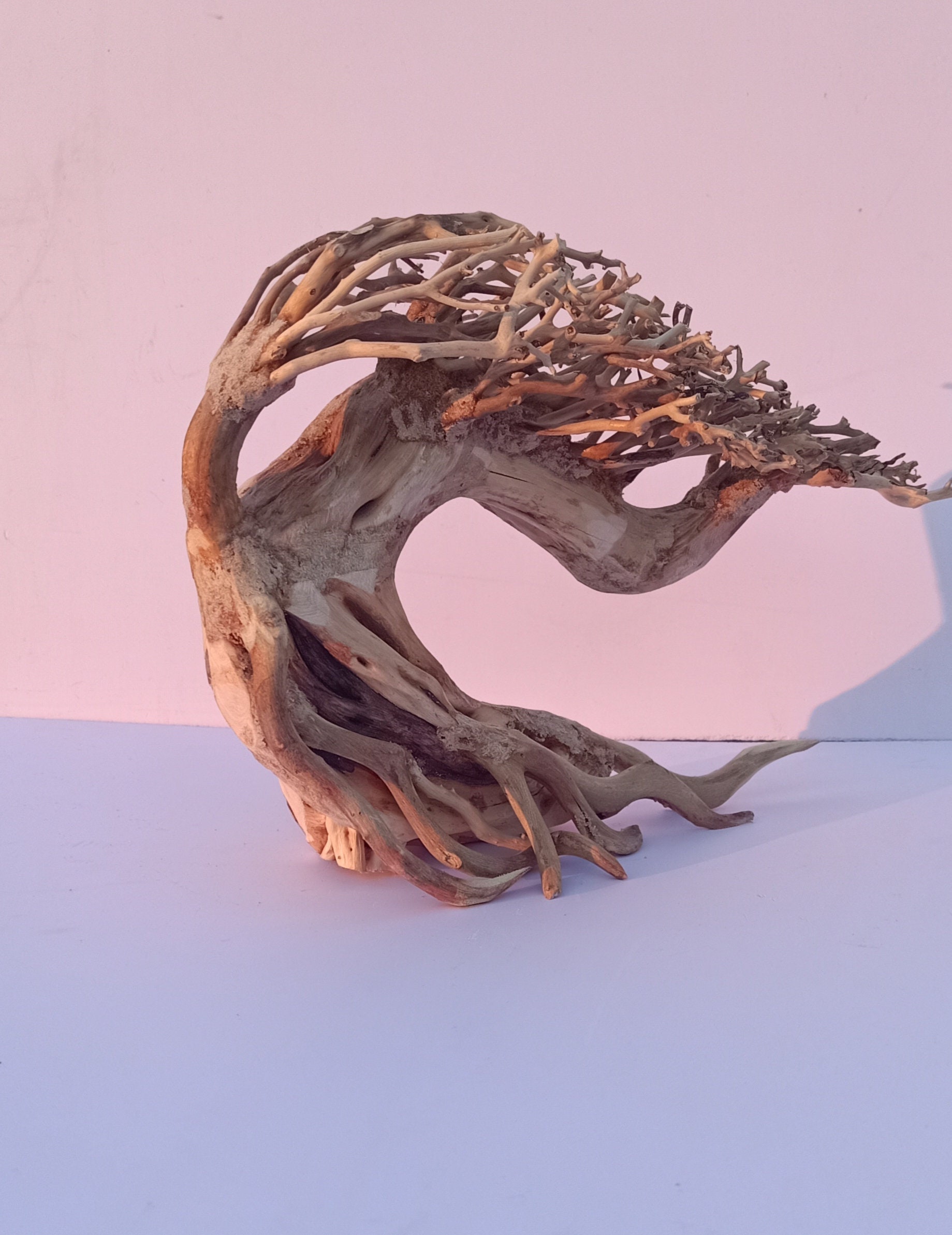 Bonsai Aquarium Bonsai Aquarium Tree Bonsai Aquasape Etsy