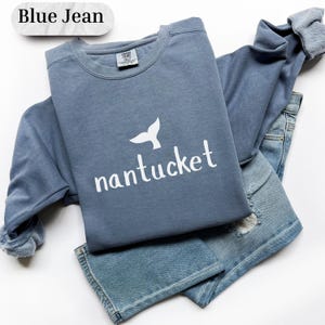 Camisa de Cape Cod con ballena de Nantucket Sudadera de la Costa Este Camisa de la Costa Atlántica Cuello redondo de verano Camisas Comfort Colors® Seal Life Biología marina
