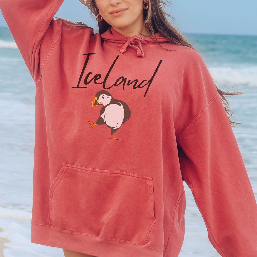 Paradiso delle pulcinelle di mare islandesi: vivi avventure