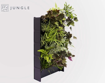 Plant Walls | Real Outdoor Living Wall | Green Wall |  Plants Included | 100% Recycled | Eco | Net Zero | Carbon Offset