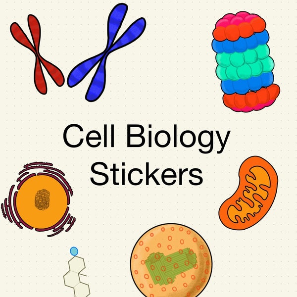 ArtsByGol'm- Cell Biology stickers- precropped PNG's, Goodnotes file for study