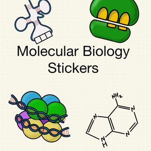 ArtsByGol'm - Klistermärken för molekylär- och cellbiologi - förbeskurna PNG-filer, Goodnotes-filer för studier