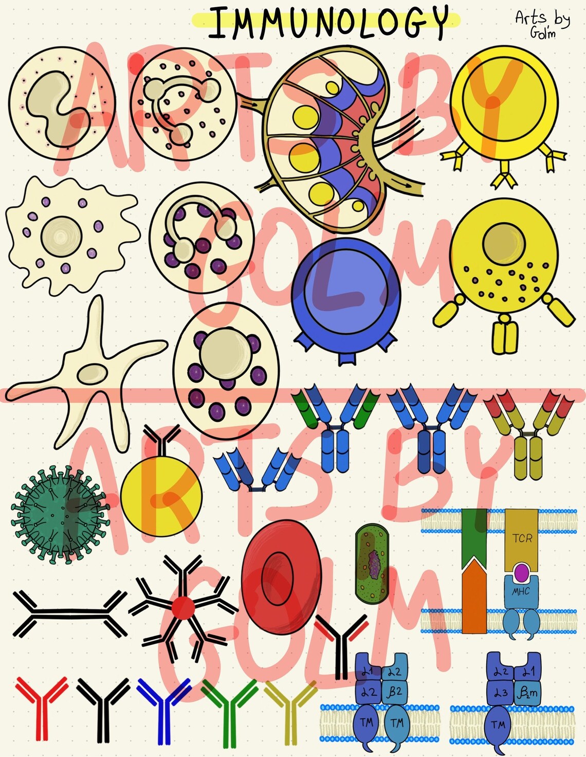 Immmunology Sticker Artsbygol'm- Immunology & Virology Stickers- Precropped Png's ...