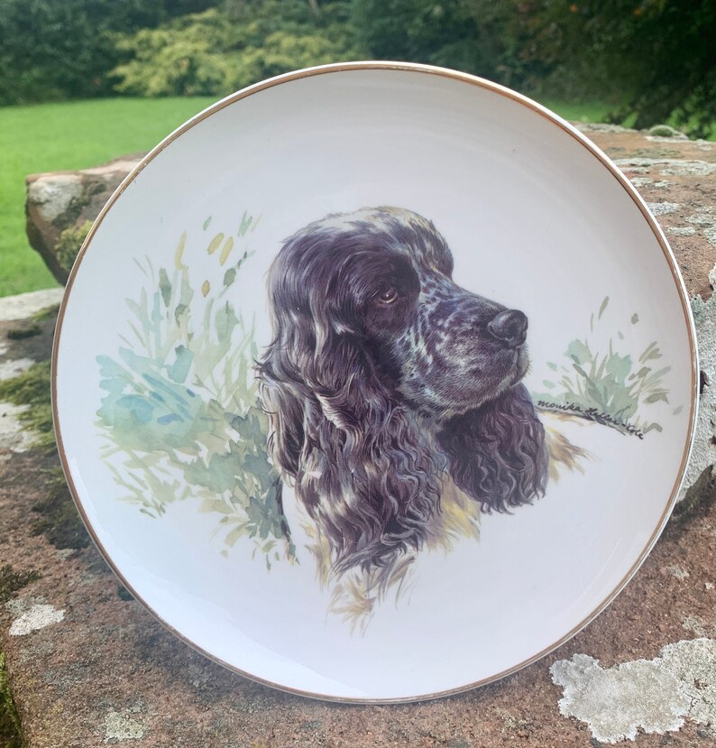 Vintage English Cocker Spaniel Decorative Plate Wall Art or - Etsy