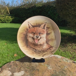 Exquisite English Decorative Bone China Plate with portrait of a Wild Fox