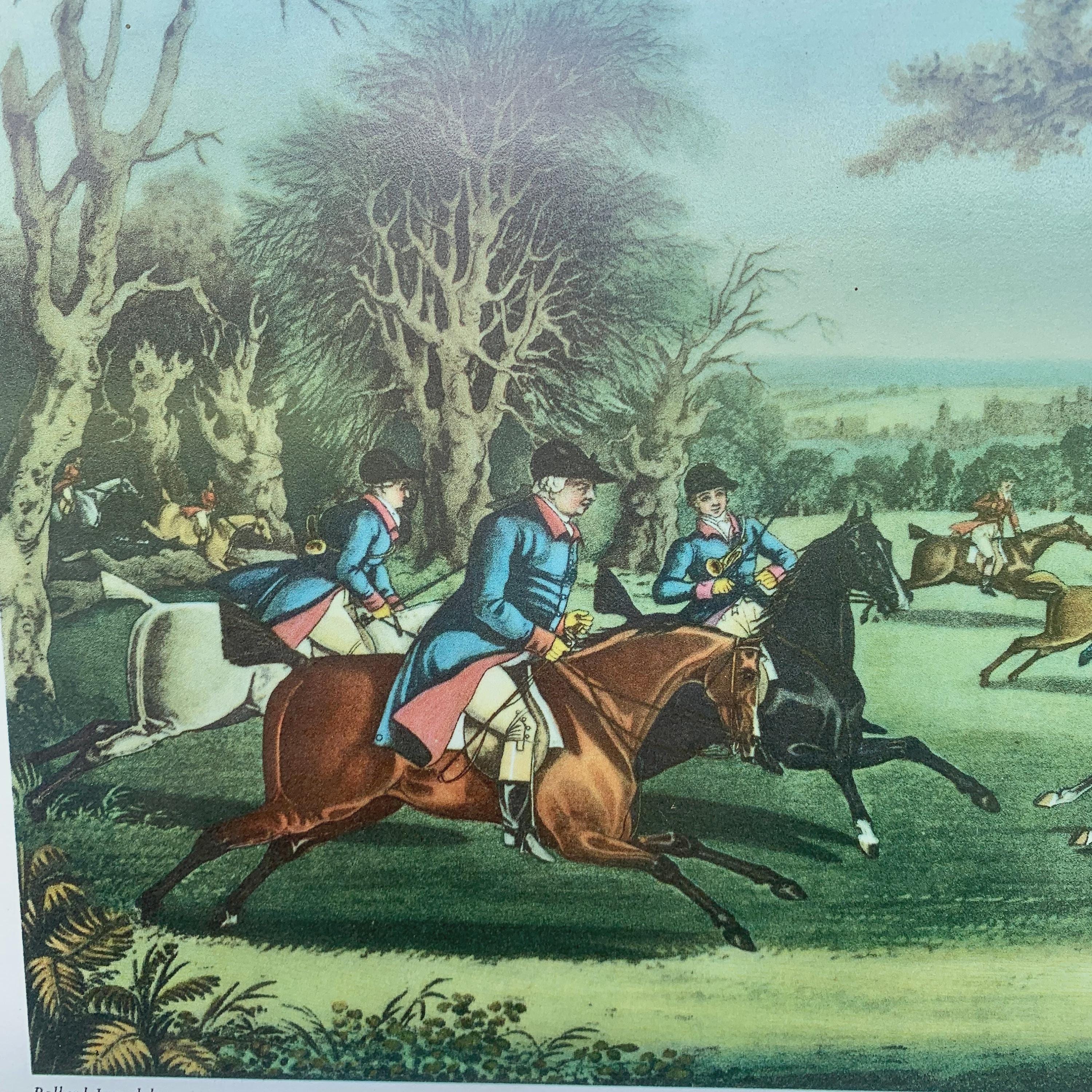 Huntsman Fox English Period Fox Hunting Scene Coloured Print With Horses Hounds and ...