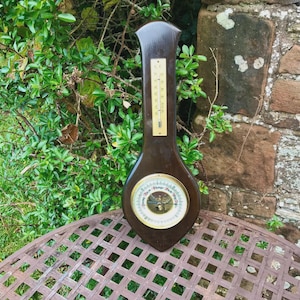 May include: A vintage wooden barometer with a thermometer and a circular dial. The dark brown instrument has a teardrop shape and is mounted on a metal table. The background includes greenery and a stone wall.