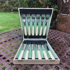 Op de afbeelding: Een open vintage bestekset in een lichtgroene koffer, met zes vorken en zes messen. De bestekken hebben zilveren bladen en crèmekleurige handvatten. De koffer staat op een decoratieve metalen tafel. Op de achtergrond is gras te zien.