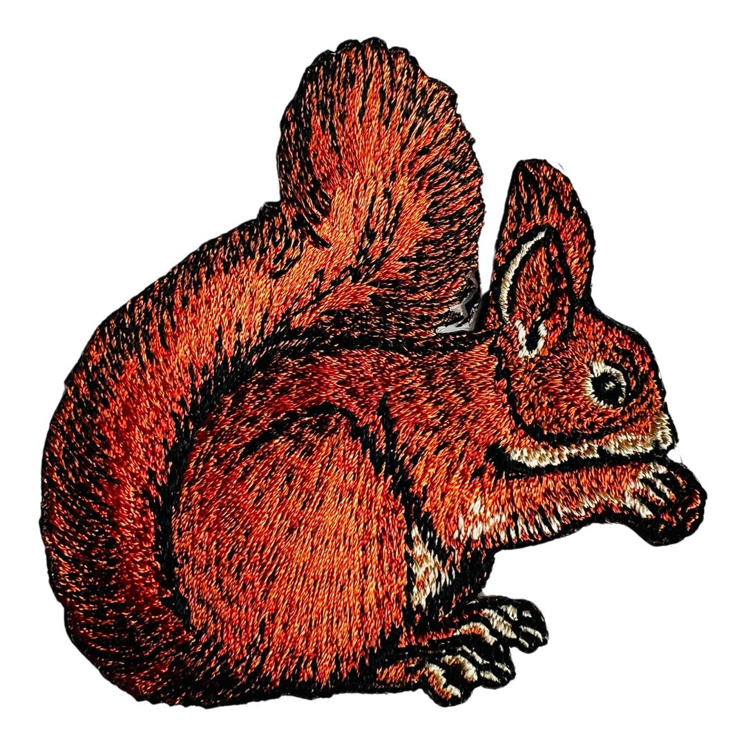 2/10Pcs Patch Ricamate Scoiattolo Animale Per Abbigliamento - Foto 8