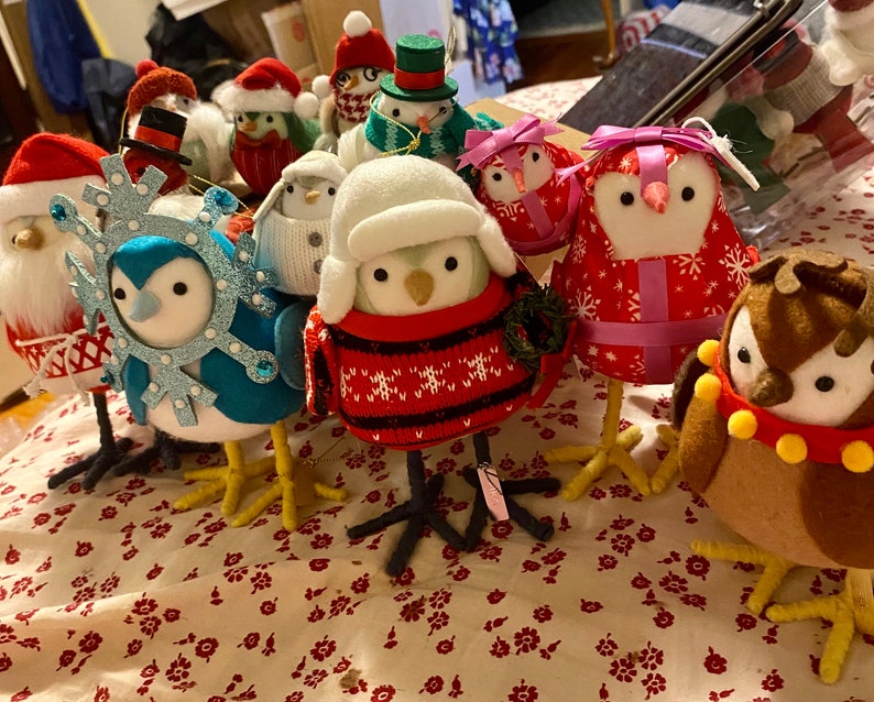 Target Lot 30 2022 Featherly Friends Birds Etsy