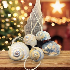 Puede incluir: Adornos navideños rústicos con cinco adornos de conchas marinas en tonos crema, azul y dorado. Las conchas están unidas a un trozo de madera envejecida con hilo, creando un tema navideño natural y costero.