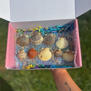 May include: A pink box containing a collection of seashells, set on colourful shredded paper. The shells range in colour from cream to brown and orange. The box is held by a person, with a tattoo visible on their arm.
