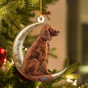 May include: A Christmas tree ornament featuring a brown dog sitting on a gold crescent moon. The dog has long, wavy fur and is facing right. The ornament is hanging from a gold string. The dog's name, "Bella", is written on the moon.