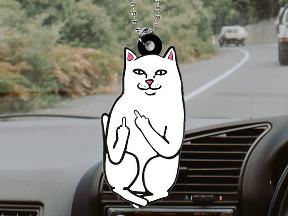 Lustige Katze Meme Auto Rückspiegel Ornament, Lustige Katze Meme Auto  Hängende Ornament, Katze Liebhaber Auto Rückspiegel Zubehör Geschenkidee -  .de